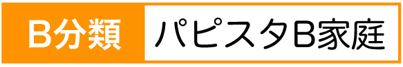 パピスタB家庭